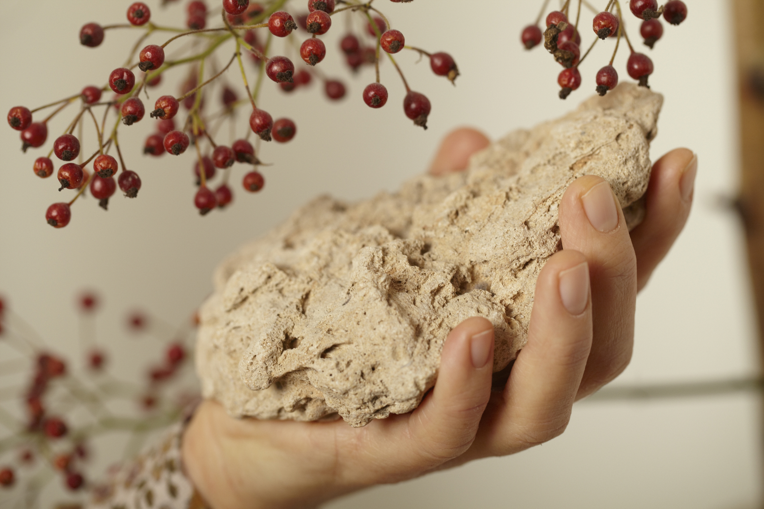 freimuth_092_20x30_15x21